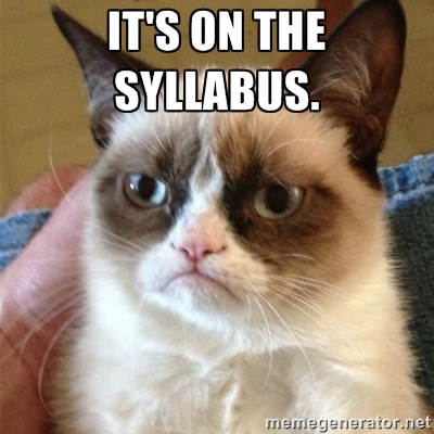 syllabuscat