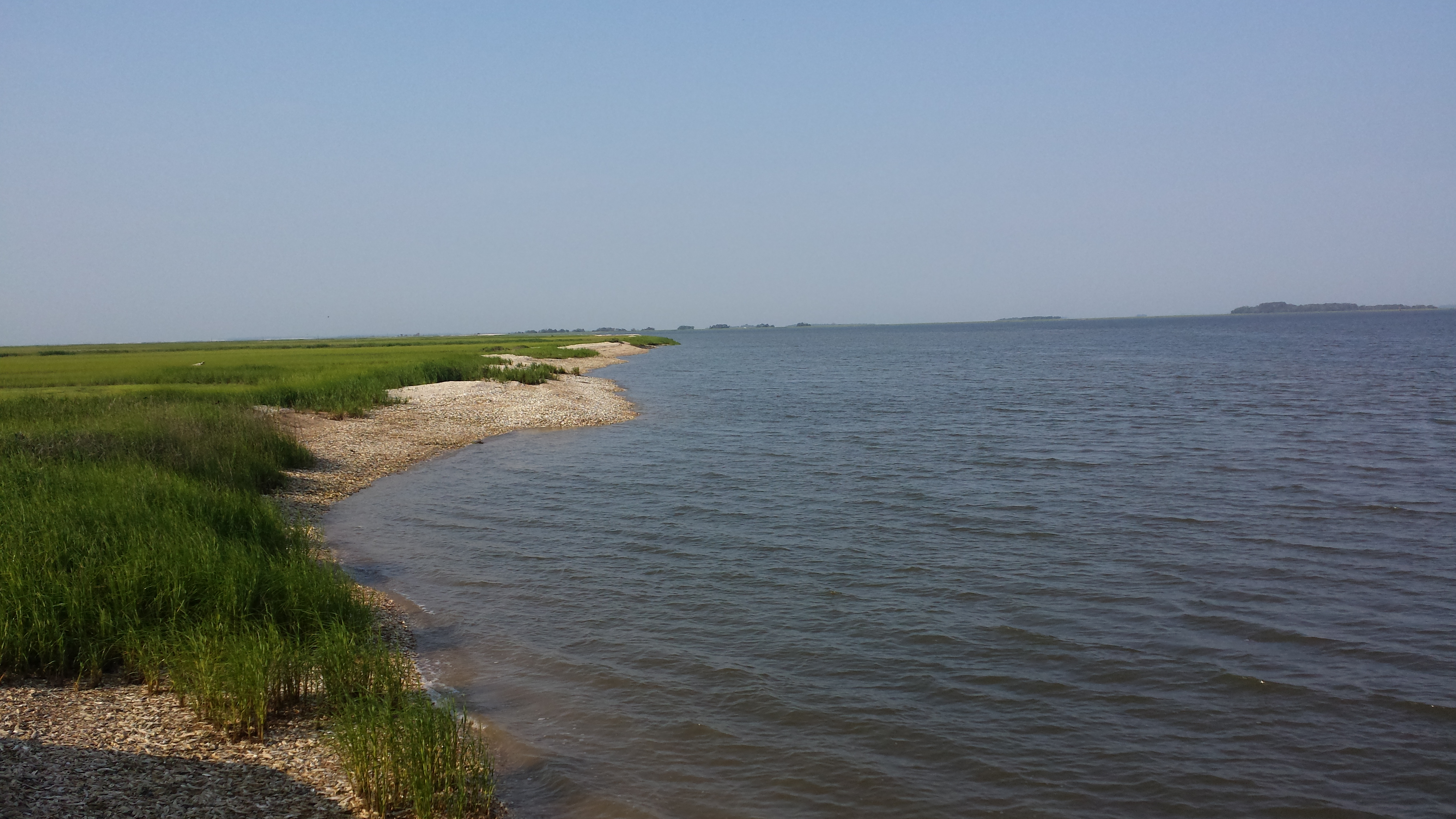 Sapelo Island
