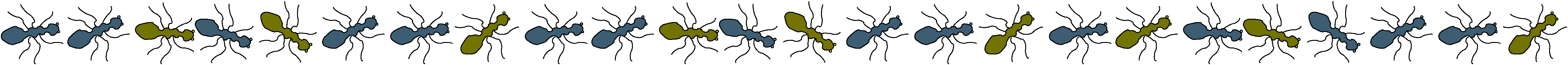 ant-line1