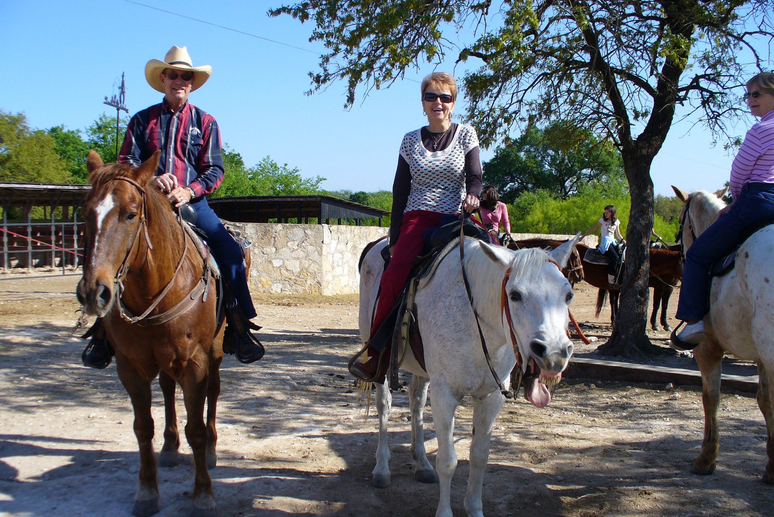 horseback