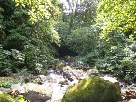 costa-rica-2010-0881