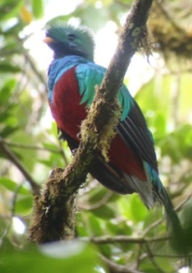 costa-rica-2010-1141