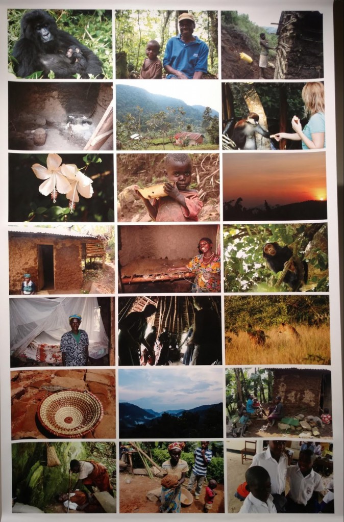 eden5_batwa