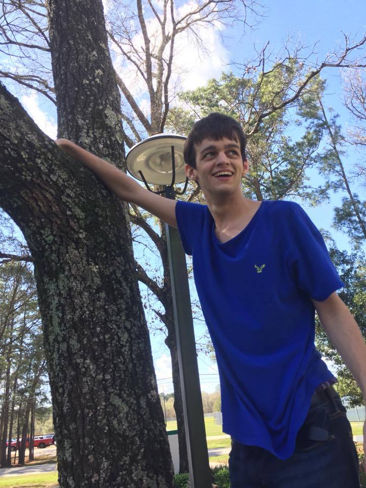 feb27-cam-tree